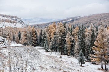 View of Ulagan Highlands in Altay mountains