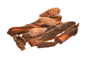 tree bark isolated on white background