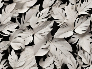 Textures of abstract white leaves for a tropical leaf background. Laid flat, a dark artistic concept