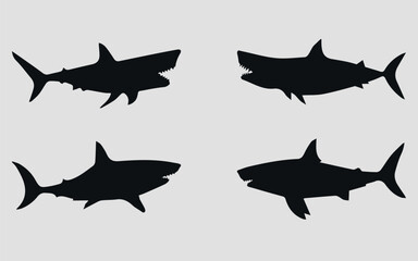Silhouette of a shark. Black. Vector icon on a gray background	
