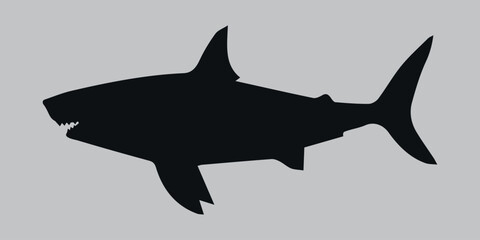 Silhouette of a shark. Black. Vector icon on a gray background	