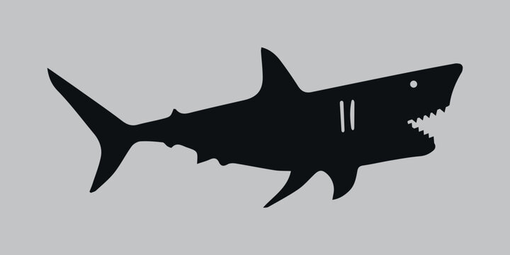 Silhouette of a shark. Black. Vector icon on a gray background	
