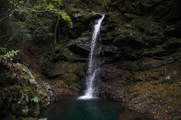 Fototapeta premium ほうき滝 愛知県新城市