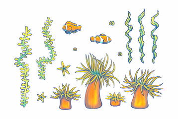 Obraz na płótnie Canvas Set of elements of the underwater world of the ocean Hand drawn exotic fish, corals and algae