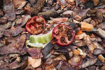 Organic pile of vegetable compost