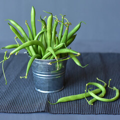 green young asparagus beans in pods on a  gray background, close-up, no people, minimalism