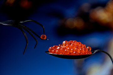 Red caviar of the highest quality, one caviar on a black spoon, on a fork. Beautiful background.