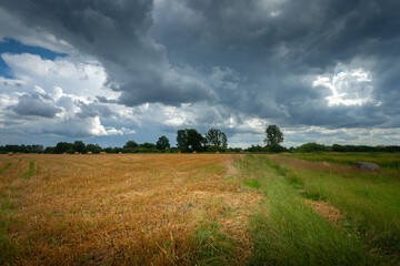 Dark rainy clouds over the fields