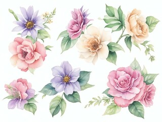 hand drawn watercolor flowers and leaves