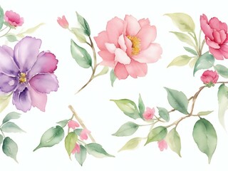 hand drawn watercolor flowers and leaves