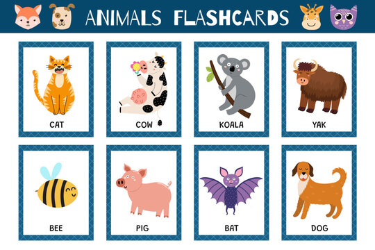 Animals flashcards collection for kids. Flash cards set with cute characters for practicing reading skills. Cat, dog, cow, bee and more. Vector illustration