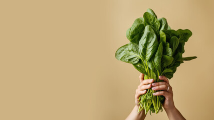 Hand holding spinach vegetable isolated on pastel background