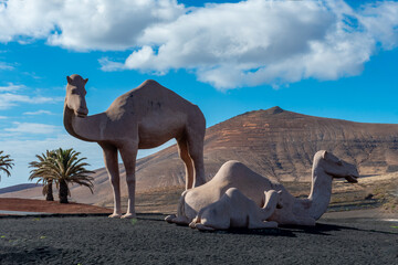 Rotonda Canaria 