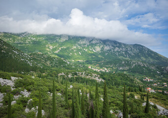 View from Sokol fortress, Croatia, to cliffs grown with green cypresses