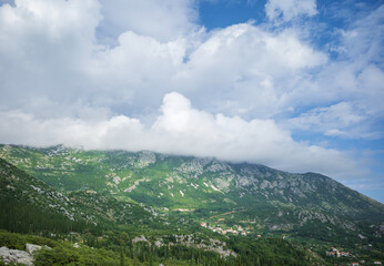 View from Sokol fortress, Croatia, to cliffs grown with green cypresses
