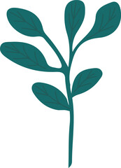 Elegant green leaf on a white background