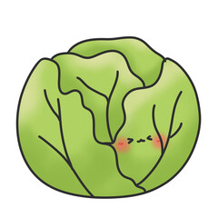 Cabbage cartoon