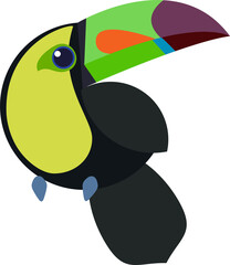 toucan bird on transparent, png . Rainbow toucan with a large and colorful bill . Tropical jungle exotic bird. Animals.