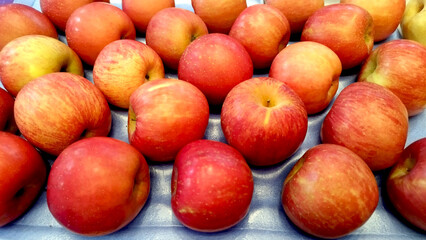 fruit sample at food exhibition