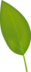 Cherry logo. Cherry berry. Isolated berries transparent, png. fresh cherry berry. illustration. for a natural design pattern