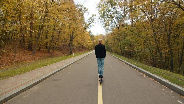 Charming landscape of autumn park with yellow, orange trees, multicolored fallen leaves on ground, fine asphalt road with dividing line, man on e-scooter. High quality 4k footage