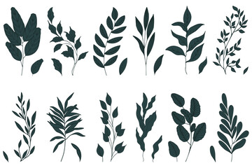 Fototapeta na wymiar Set of elegant silhouettes of flowers, branches and leaves. Thin hand drawn vector botanical elements 