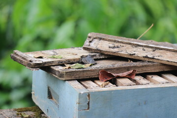 Beehive box or beekeeping box made of wood that has been abandoned on a house garden