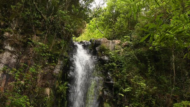 Waterfalls in the deep rain forests of Madeira