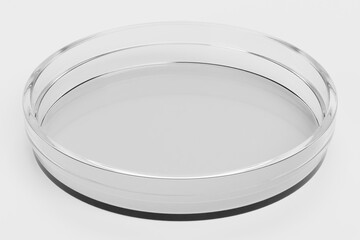 Realistic 3D Render of Petri Dish