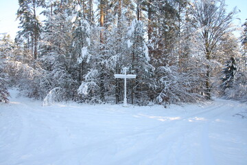 winter