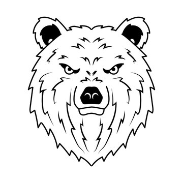 Bear head logo. Wildlife face icon. heraldry symbol. Vector illustration image.