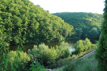 Obraz premium Dense forest along a wide river. A dirt road along the Dniester River.