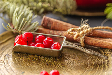 Still life with fresh lingonberries on metal plate on dark.  Nordic berry, superfood, superfruits,...