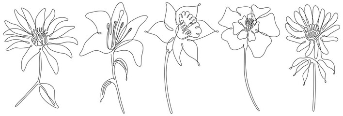Fototapeta premium Flowers isolated on white illustration collection. Wildflowers for background. Abstract botanical art. Simple minimalist art set. Continuous line drawing set.