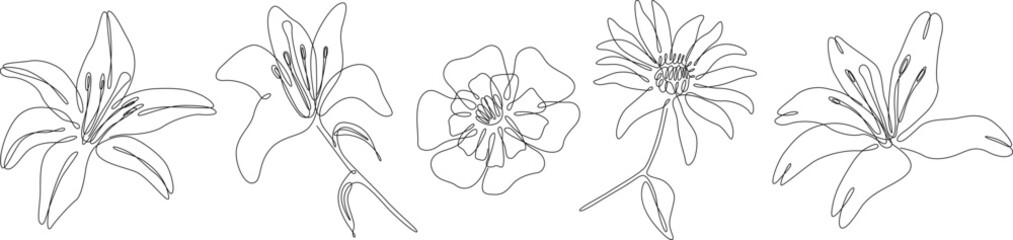 Flowers isolated on white illustration collection. Wildflowers for background. Abstract botanical art. Simple minimalist art set. Continuous line drawing set.