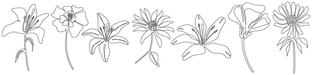 Flowers isolated on white illustration collection. Wildflowers for background. Abstract botanical art. Simple minimalist art set. Continuous line drawing set.