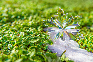 Large Crystal Snowflake with Snow and Green Grass
