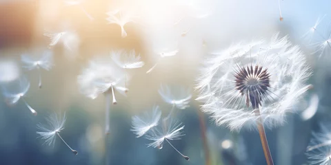 Foto op Canvas Closeup of white dandelion seeds in the air, White Flowering Dandelions, dandelion seeds with drops of water on a blue dark background close-up, generative AI  © Muhammad