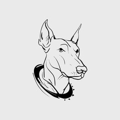 hand draw artwork illustration doberman dog