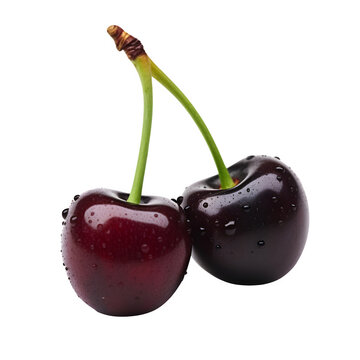 Two black cherries on a transparent background