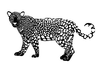 Silhouette leopard full body illustration isolated on white background.