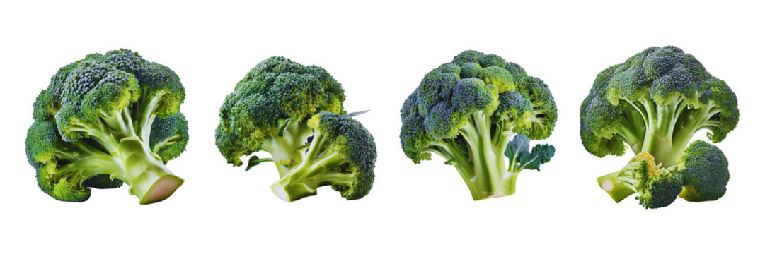 Set of Delicious broccoli, isolated on transparent background