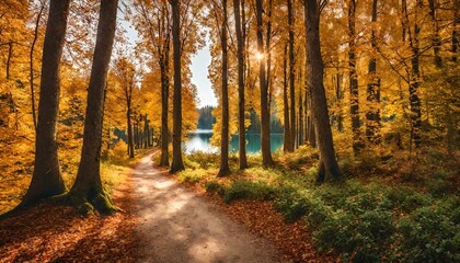 Fototapeta premium Forest path tunnel t