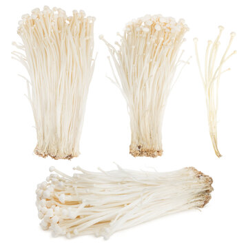 Enoki mushrooms on a white background. Close-Up, Texture