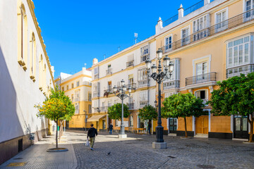 A man walks down a small tree lined square in the old town district of Cadiz, Spain. - obrazy, fototapety, plakaty