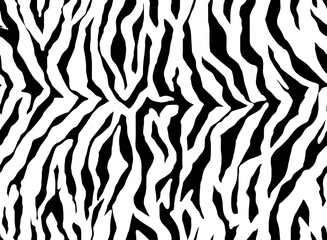 Full Seamless Zebra Tiger Animal Skin Pattern Textile Texture. Vector Background. Black and White Design for Women Dress Fabric Print.