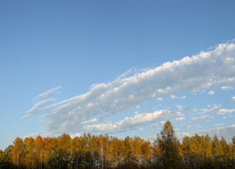 Fototapeta premium White clouds, panoramic view of sky with clouds