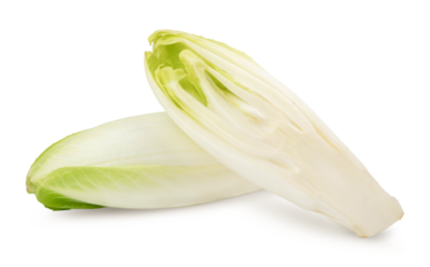 Chicory salad isolated on white background with clipping path and full depth of field.