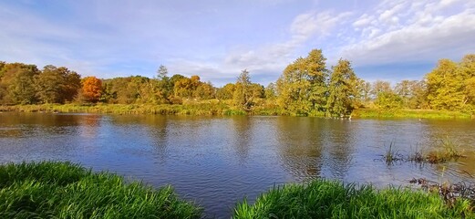 Fototapeta premium herbst
