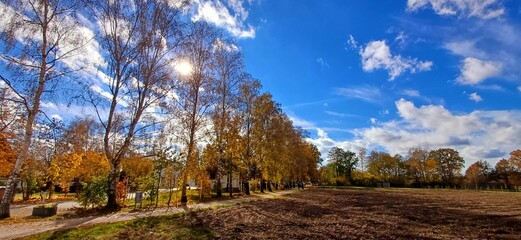 Obraz premium herbst
